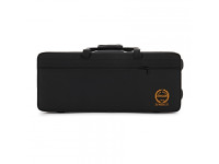 Grassi SAL700 School Series Alto Saxophone, Black Grassi SAL700 School Series Alto Saxophone, Black